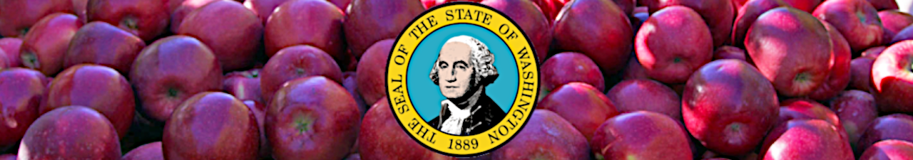 Washington Logo